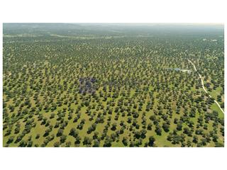 Masia a Malpartida de Plasencia. Finca ganaderas de unas 650 hectáreas en la zona de plasencia