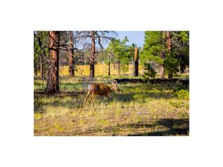 Maison à Calzadilla. Finca mixta de unas 650 hectáreas en la zona de moraleja