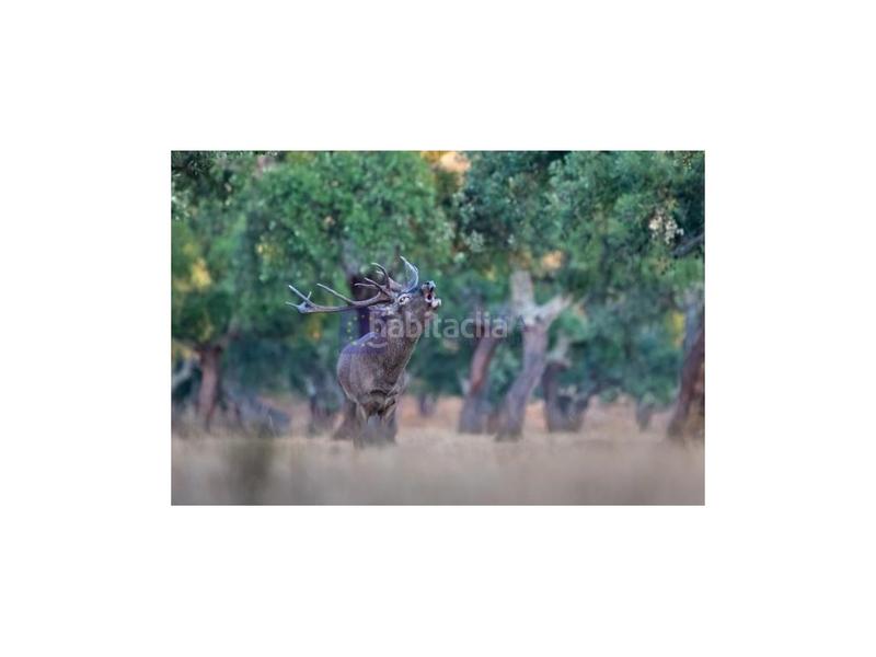 Foto 4c2894d0-6794-4625-b5e7-5698ae68964a. Maison dans Deleitosa