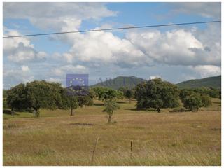 Masia a Trujillo. Finca ganadera de unas 25 hectáreas en la zona de trujillo