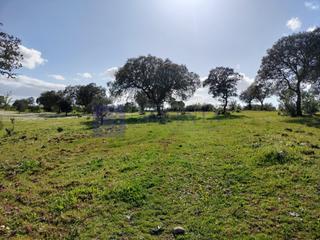 Haus  N/a. Finca ganadera membro