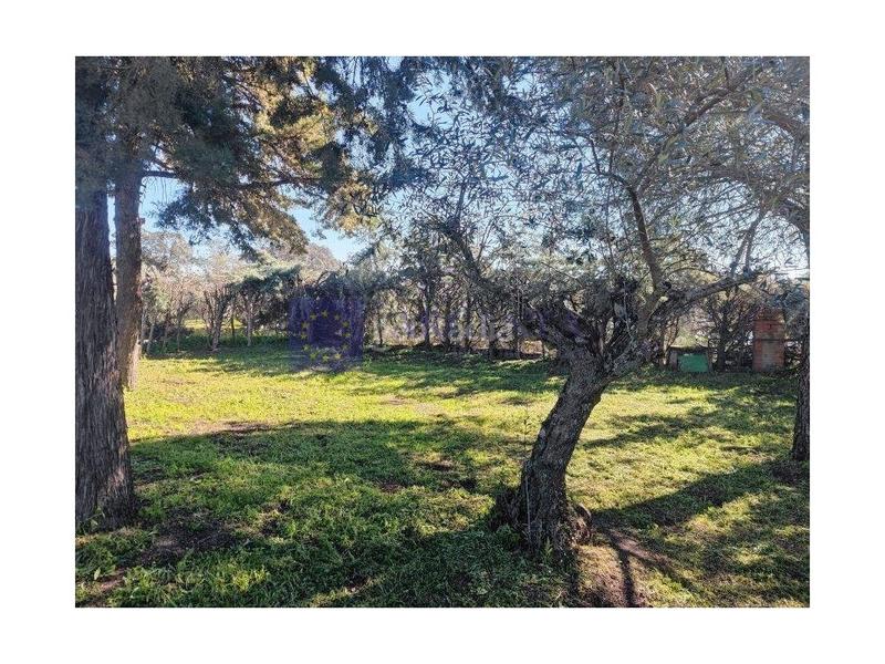 Foto 925c37c4-a6e2-4199-abcd-9f58187526e3. Masia a Malpartida de Cáceres