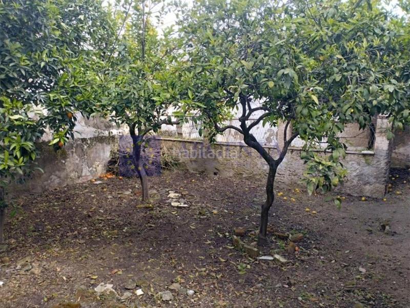 Foto d099a098-ecfa-4d73-95b8-d917bad5e446. Xalet a Arroyo de la Luz