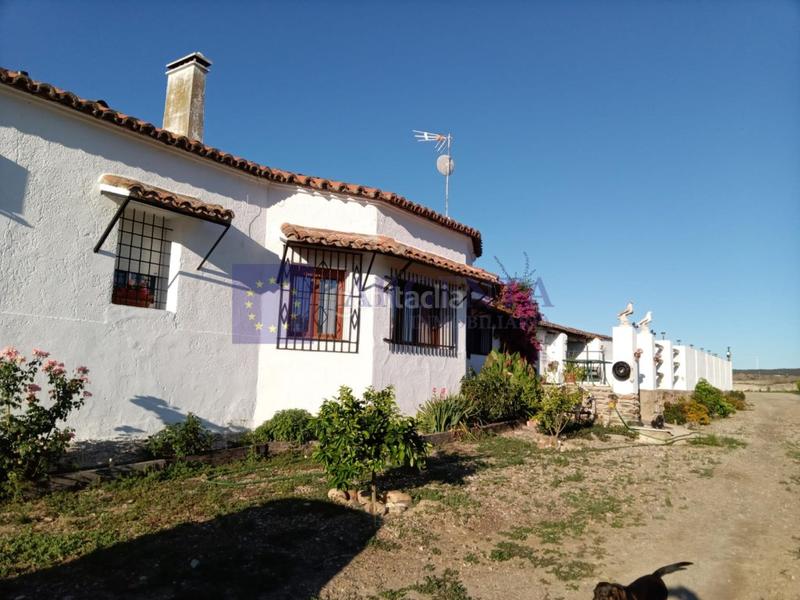 Foto 073797a9-2dd0-4a6c-81e6-e3a1ddd1062e. Masia a Galisteo