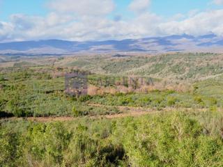 Casa a Casatejada. Finca mixta de unas 600 hectáreas en la zona de navalmoral de la