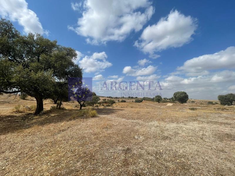 Foto 15e24951-c824-434d-8ea3-5aacbc76a8a6. Mas dans Estación Arroyo Malpartida Cáceres