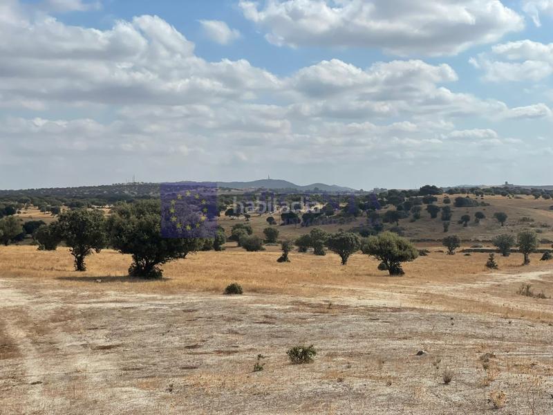 Foto 70993a15-a8f1-4ceb-b410-caca36a2e4b0. Mas dans Estación Arroyo Malpartida Cáceres