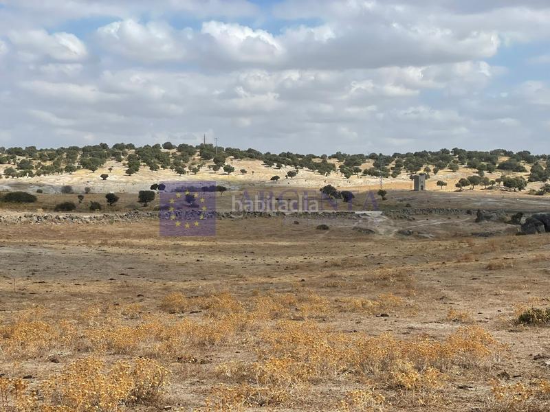 Foto 737f5a80-9ad2-4965-ba43-7cf6e78f97ee. Mas dans Estación Arroyo Malpartida Cáceres