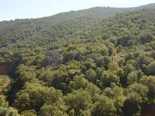 Mas à Estación Arroyo Malpartida. Finca cinegética y de corcho de unas 70 has a 20 minutos de cáce