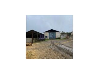 Casa  Diseminados carrascal. Finca mixta de unas 140 hectáreas en la zona de trujillo