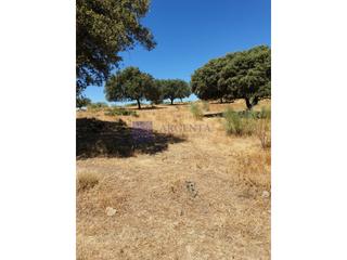 Masia a Trujillo. Finca mixta de unas 140 hectáreas en la zona de trujillo
