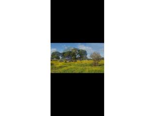 Masia a Valdesalor - Rincón de Ballesteros. Finca ganadera de 10 has cerca de valdesalor