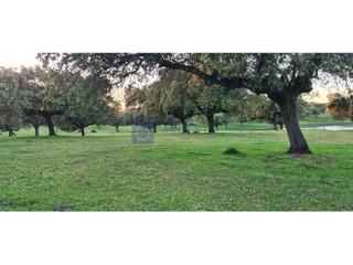 Masia a Malpartida de Plasencia. Se vende finca ganadera de unas 300 has en plasencia