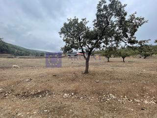 Masía en Madroñera. Se vende finca de unas 400 has en la zona de madroñera