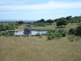 Mas à Coria. Se vende finca ganadera de unas 80 has en la zona de coria