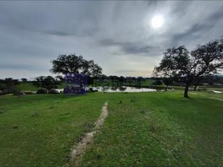 Mas  N/a. Se vende finca ganadera y de recreo de unas 140 has en la zona d