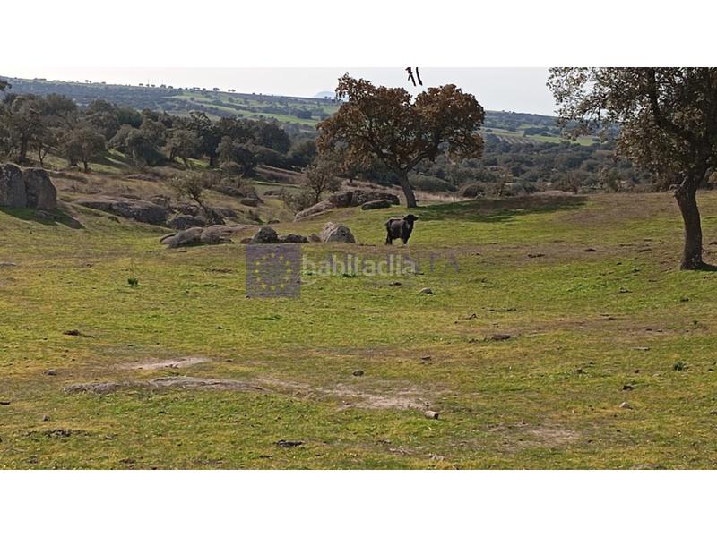 Foto 06318d9f-3812-43c7-85a3-a62c4246e81c. Haus in Oeste Mérida