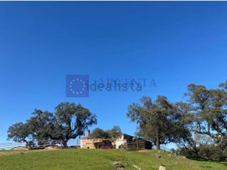 Masia a Navalmoral de la Mata. Finca de unas 5 hectáreas en la provincia de cáceres
