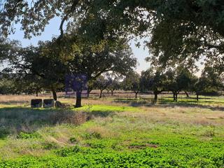 Masia a Monroy. Finca ganadera de unas 200 hectáreas en la zona de monroy