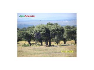Casa  N/a. Venta finca ganadera de 70 has en la zona de aldea del cano.
