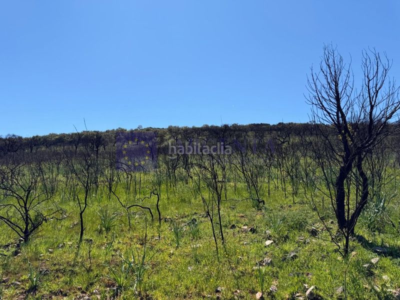 Foto f642f693-fe92-4918-bffa-dc47b2a14d29. Masia a Aliseda