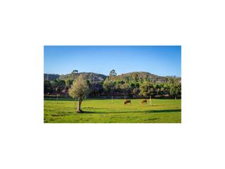 Masia  N/a. Finca ganadera de 480 ha en jaraiz de la vera