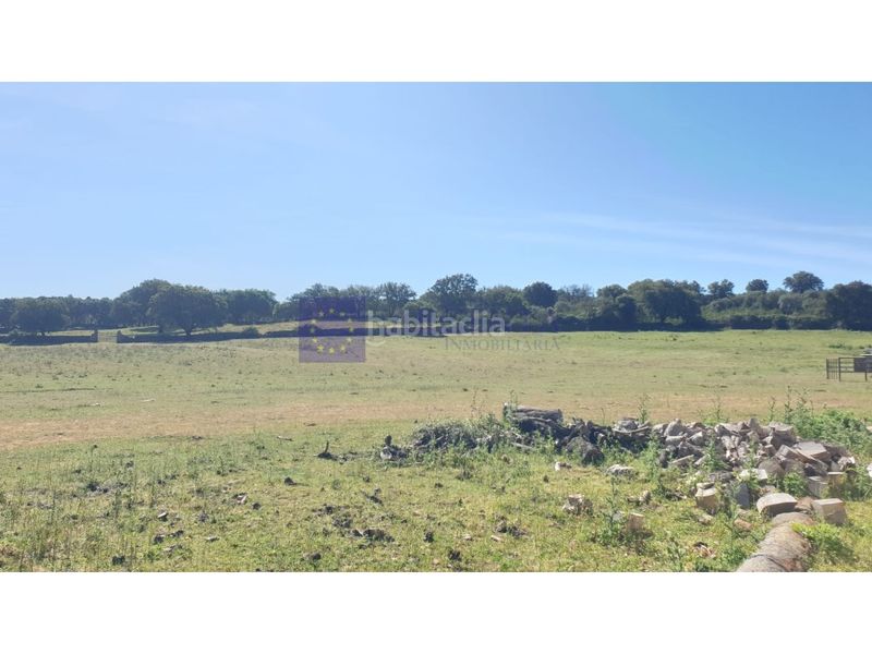 Foto 19b28d87-6497-45fc-a286-e624ddcc8648. Casa a Zona Norte - Hospital - Urbanizaciones Plasencia