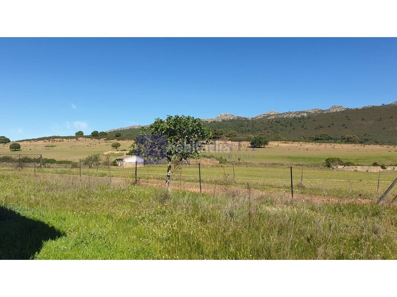 Foto 69d25b97-98f0-4567-8fb8-6977349a5a1b. Casa a Zona Norte - Hospital - Urbanizaciones Plasencia