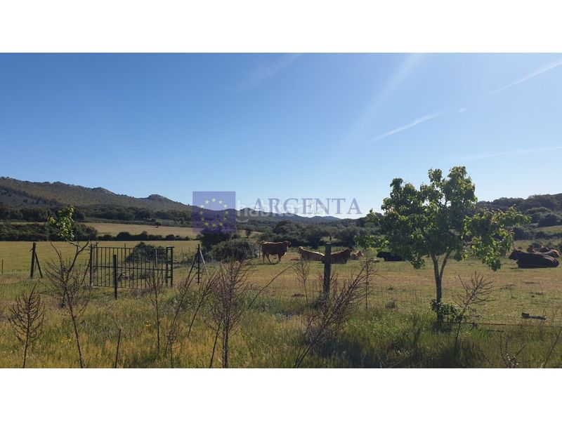 Foto 6da932b1-ca11-4e7b-8521-e4a96c083bea. Casa a Zona Norte - Hospital - Urbanizaciones Plasencia