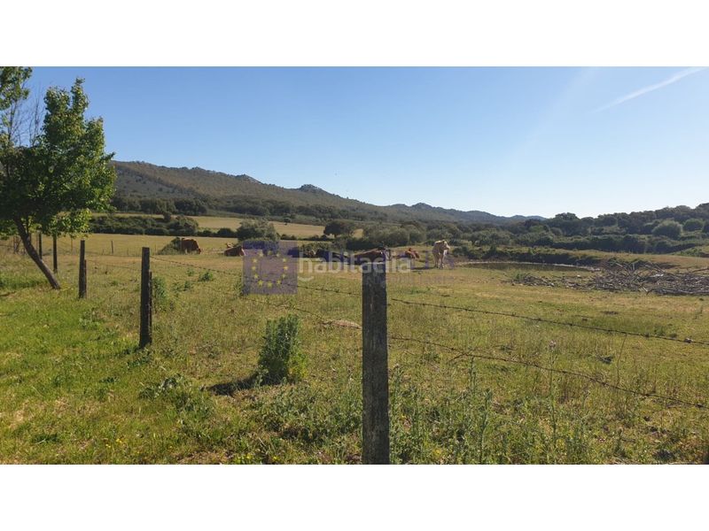 Foto 74e5dc76-adf4-451d-9f19-cc5fa1ca65ef. Casa a Zona Norte - Hospital - Urbanizaciones Plasencia