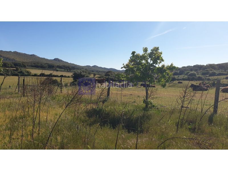 Foto 819e09a8-42e1-407f-9ebe-8ba2a5a08a08. Casa a Zona Norte - Hospital - Urbanizaciones Plasencia