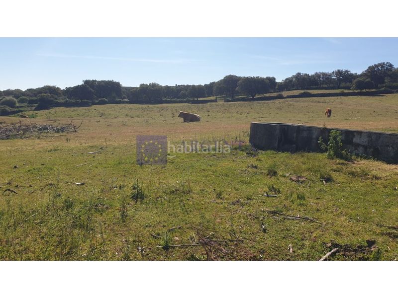 Foto ca5f34ea-39e3-43f2-991d-657930589198. Casa a Zona Norte - Hospital - Urbanizaciones Plasencia