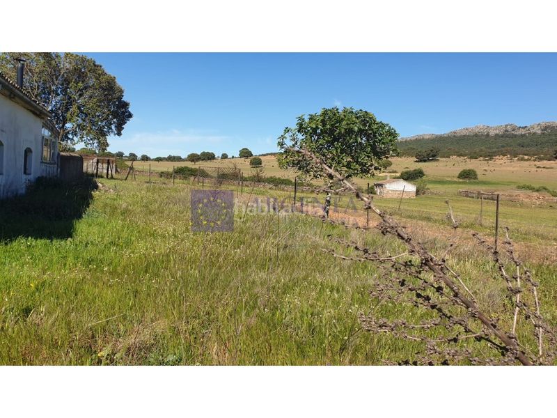 Foto d56e4875-873f-4a86-aea2-4b7c5ab9c309. Casa a Zona Norte - Hospital - Urbanizaciones Plasencia