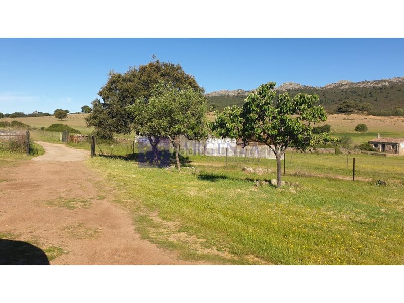 Foto db1c060c-f6e5-4fc6-ac4a-fc2fcee1fe56. Casa a Zona Norte - Hospital - Urbanizaciones Plasencia