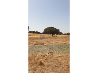 Maison à Alcuéscar. Finca ganadera de unas 600 hectáreas en la zona de alcuéscar