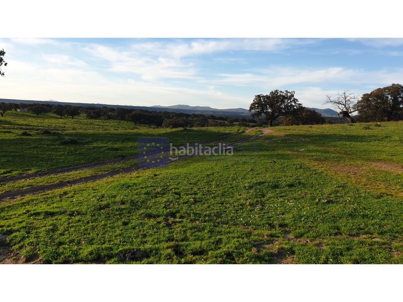 Foto c866a6d2-d591-4f2c-8771-5c380bce5ba1. Casa a Alcuéscar