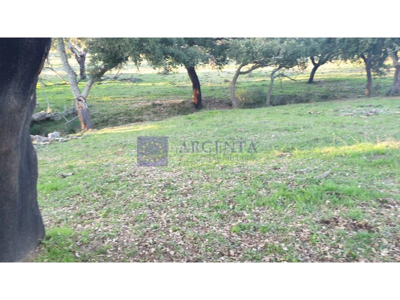 Foto caeb4c30-e456-4bb7-91d6-4fc69c500942. Casa a Alcuéscar