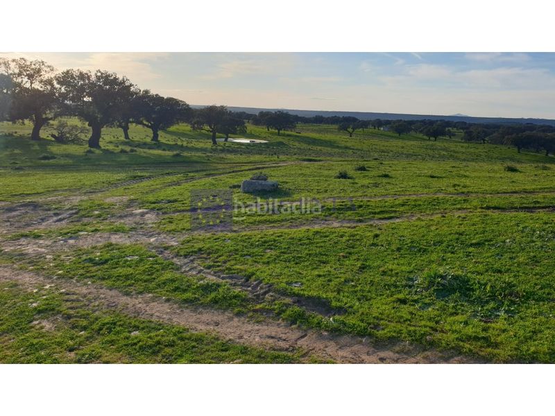 Foto e0a13b83-50b9-426a-bdb7-5e2cf231ae2c. Casa a Alcuéscar