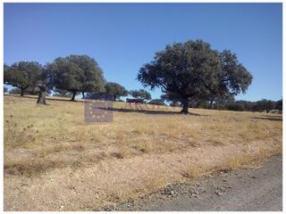 Masia a Trujillo. Finca ganadera de unas 25 hectáreas en la zona de trujillo