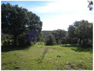 Masia a Valdesalor - Rincón de Ballesteros. Finca ganadera de unas 25 hectáreas en la zona de cáceres