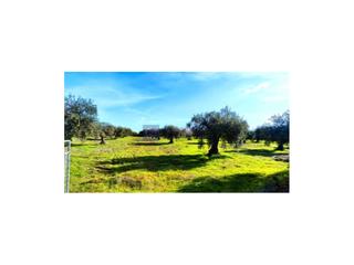 Terrain résidentiel  N/a. Parcela de unos 15000 m2 en la zona de valdefuentes
