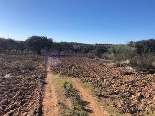 Casa  N/a. Se vende finca de unas 300 has en la zona de membrio