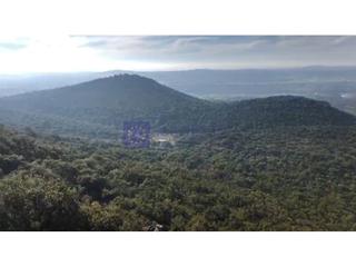 Casa  N/a. Se vende finca de unas 300 has en la zona de membrio