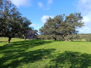 Maison  N/a. Se vende finca ganadera de 700 has en la zona de navalmoral