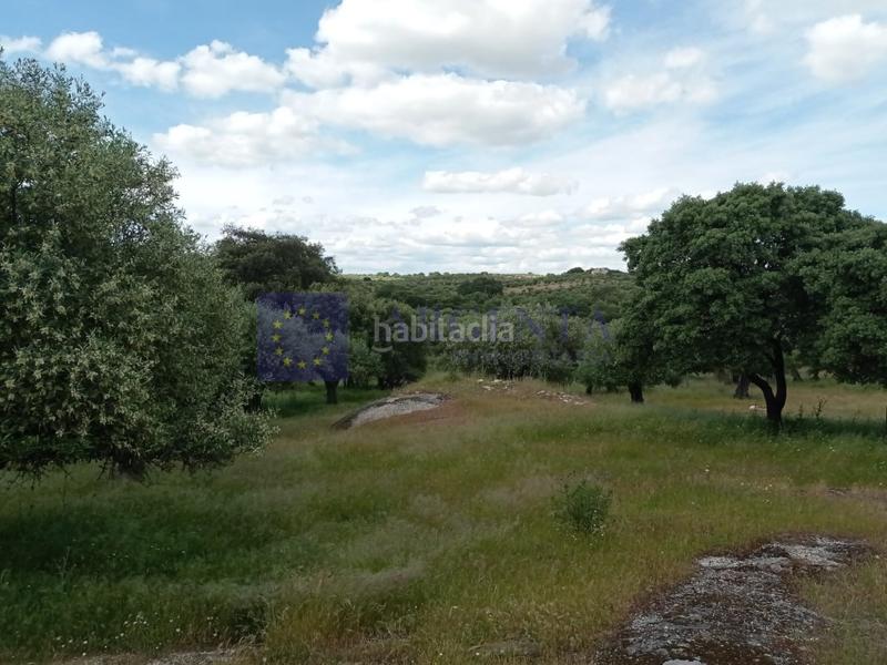 Foto 04e2ffad-b416-47d0-9b6d-22b5a2e07f45. Masia a Alcántara