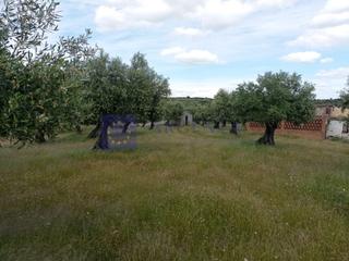 Masia  N/a. Finca agricola  recreo con casa en alcántara