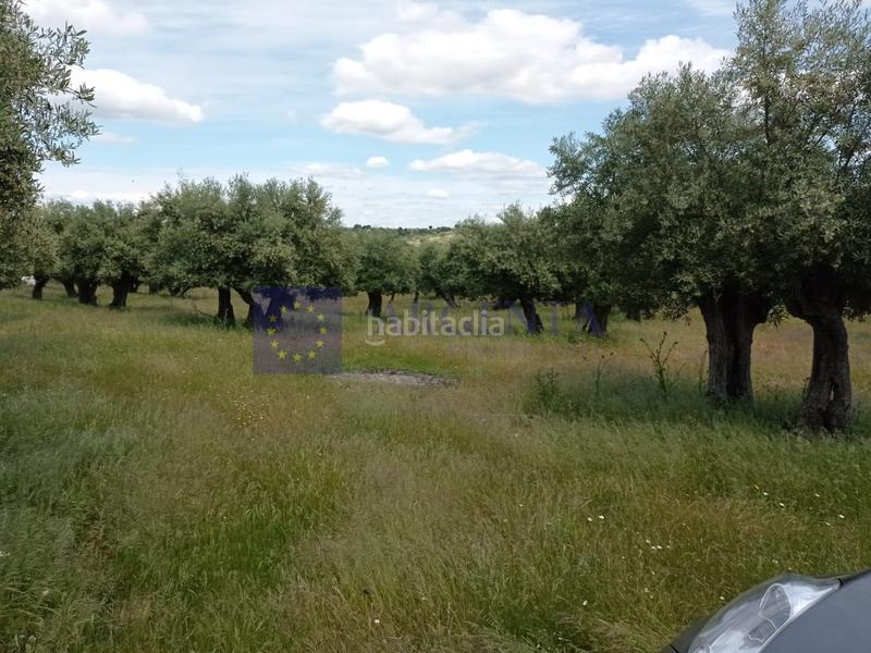 Foto 21a7455d-fd87-47d2-9904-c30b8c1cf75a. Masia a Alcántara