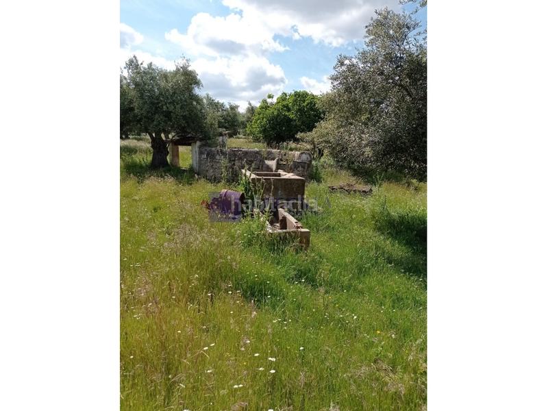 Foto db60b9bc-0ccb-444b-94f5-e3a8d5f92658. Masia a Alcántara