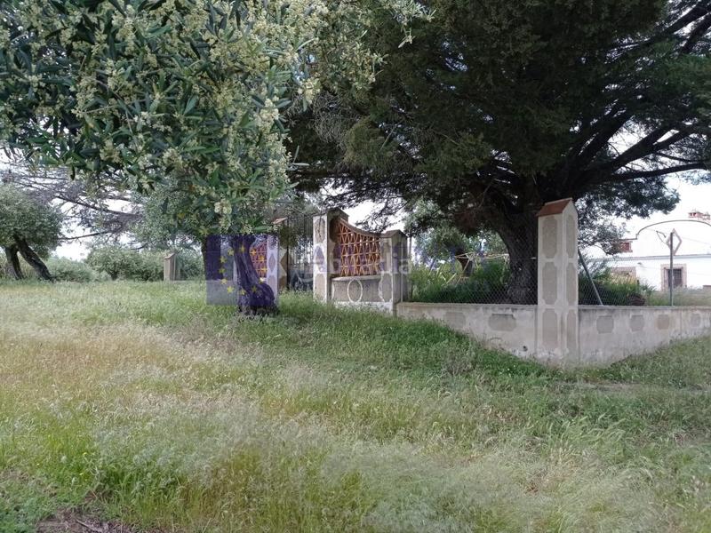 Foto ff03ef6b-9203-4ec9-88ca-b78801c1d23d. Masia a Alcántara