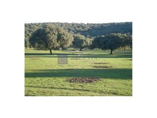 Maison  N/a. Finca en venta en la zona de coria  425 hectáreas con excelentes